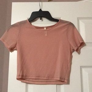 Blush mesh crop top